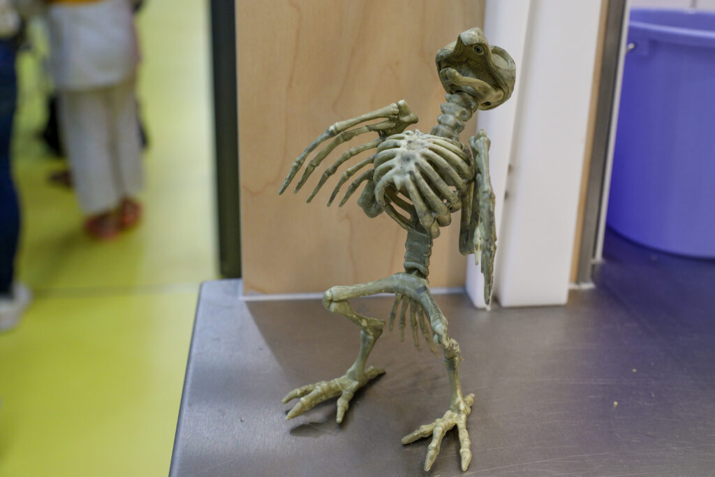 20251025-Halloweenturnier_Geretsried_Conny_010